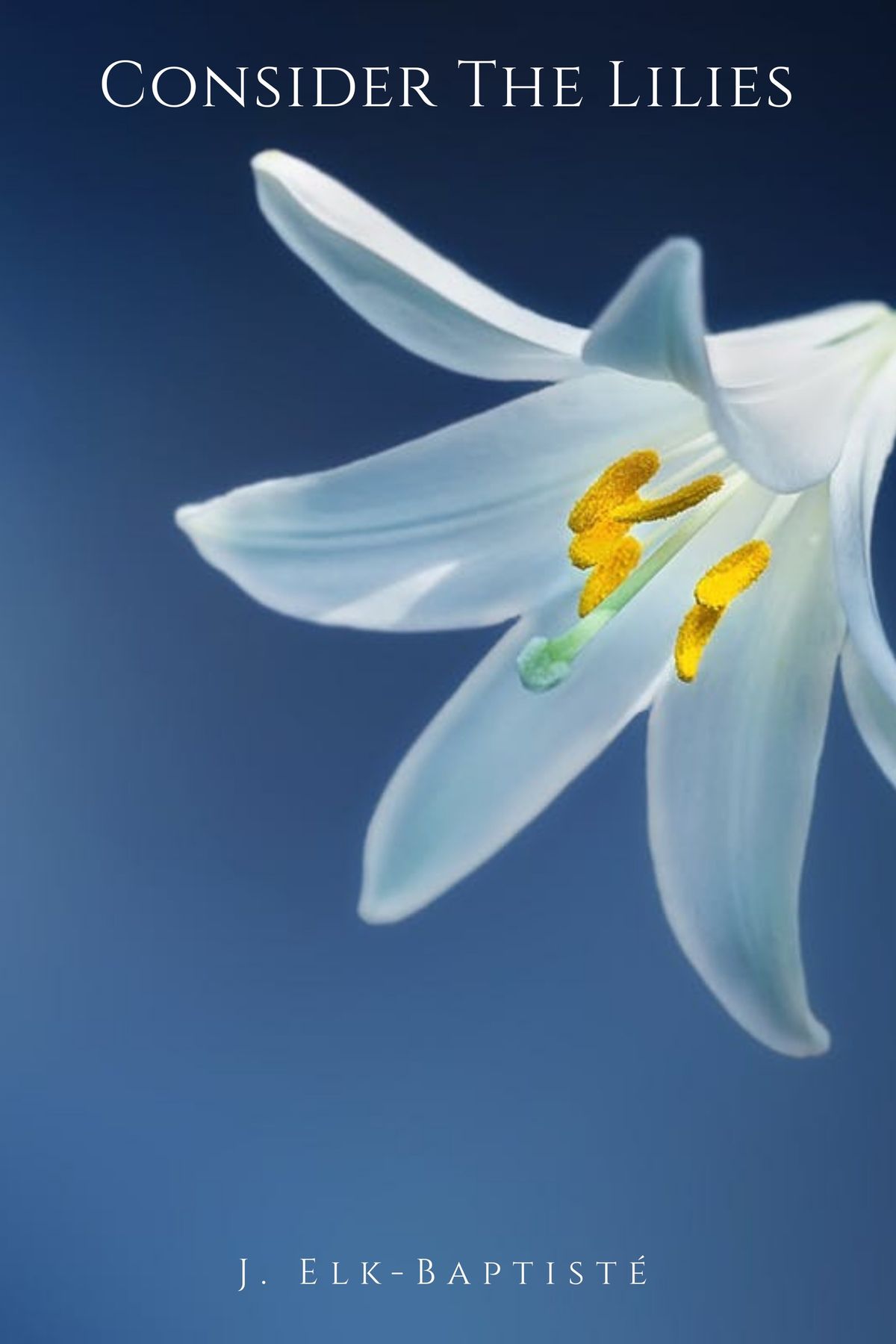 Consider The Lilies eBook