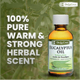 thumbnail image 2 of De La Cruz Eucalyptus Essential Oil, 100% Pure for Aromatherapy Diffuser, 2 fl oz, 2 of 11