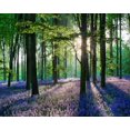 thumbnail image 1 of 30x40 Cm 5d Peinture Diamant Diy Complet, paysage De Salon Diamant Peinture Diy Diamond Strass Toile Point De Croix Painting Par Numro Pour Dcorat, 1 of 5