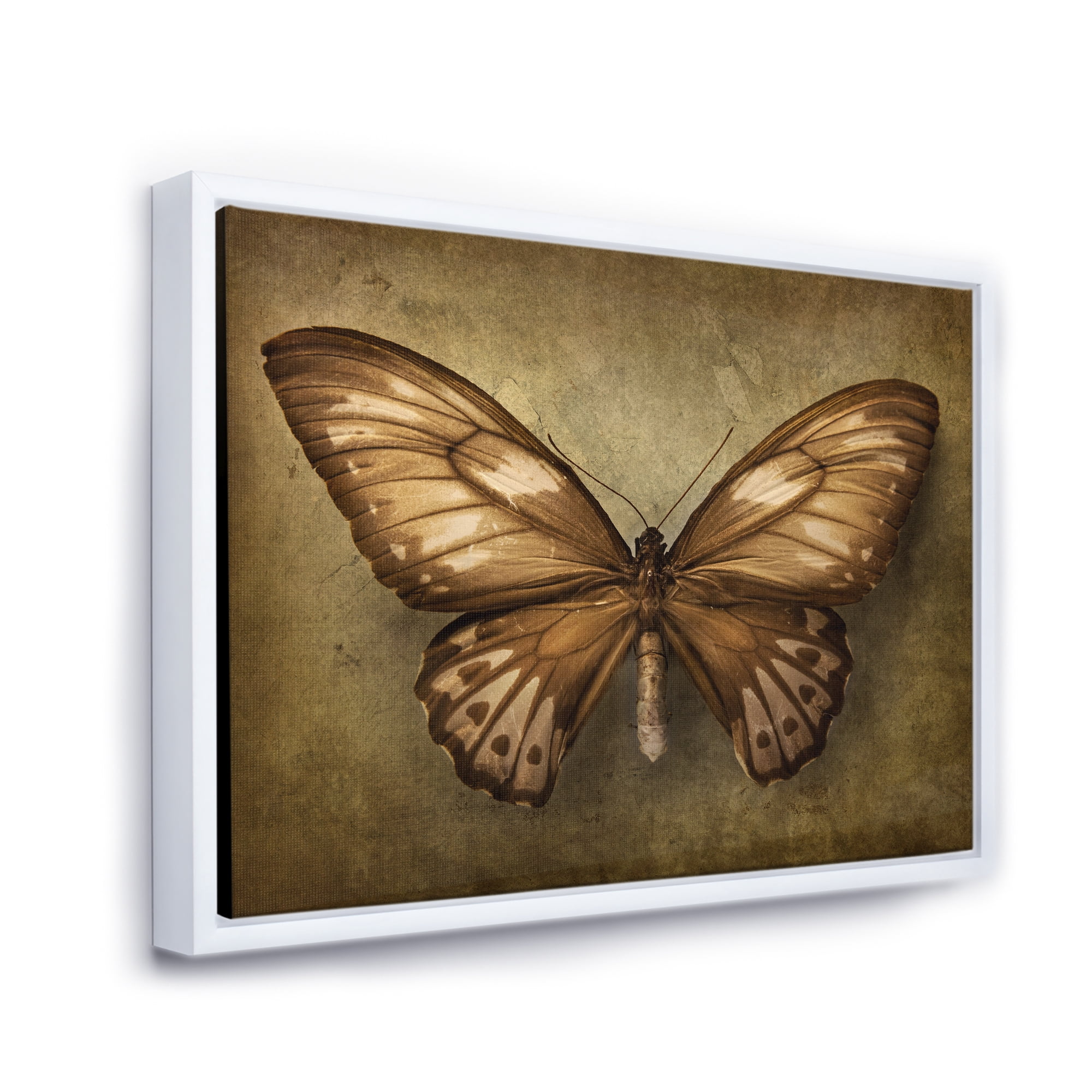 Designart 'Ancient Butterfly In Earth Tones' Vintage Framed Canvas Wall Art Print