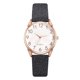 thumbnail image 1 of Reloj de pulsera para mujer de cuero con esfera verde cuadrada a la moda para mujer, conjunto de pulsera de cuarzo Wmkox8yii gfajkfgbkjabf1052, 1 of 1