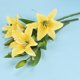 thumbnail image 1 of Xiao Hua Juego de 5 flores de lirio artificiales con un toque realista, ideal para bodas, fiestas, jardines y decoración de oficinas. Flores de lirio artificiales, color amarillo., 1 of 5