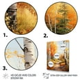 thumbnail image 3 of Designart "Autumn Sonata Birch Woods III" Floral Floater Framed Wall Art Print, 3 of 7