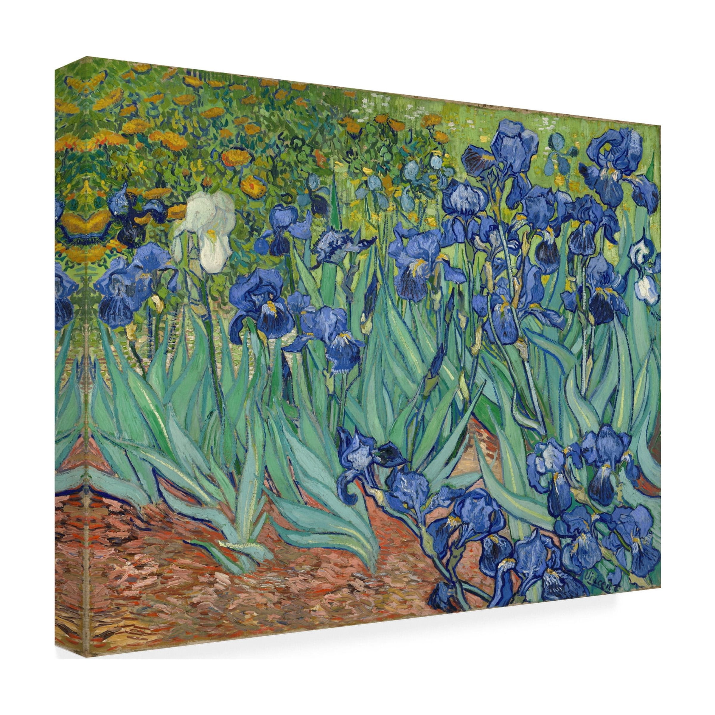 Vincent van Gogh 'Irises 1889' Canvas Art