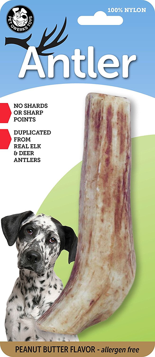 Photo 1 of Pet Qwerks Peanut Butter Flavor Nylon Antler Tough Dog Chew Toy, X-Large