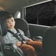 thumbnail image 4 of Cortina Magnética para Sol de Coche | Aislamiento Térmico de Doble Capa con Protección UV | Malla de Tela Negra | Succión Magnética | Compatible con la Mayoría de Coches, SUVs y Minivans | 47x72cm, 4 of 9