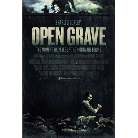 Open Grave (2014) 11x17 Movie Poster