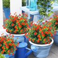 thumbnail image 3 of Sinhoon 6 Pcs Artificial Flowers, Outdoor UV Resistant Fake Plants Faux Greenery Shrubs Plastic Flowers for Indoor Outside Home Garden Wedding Office Decor (Orange Red), 3 of 14