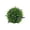 B, variant on Decor Plant Simulation Grass - Artificial Grass Pendants Hanging Pendants Topiary PVC Green Grass Outdoor, Fresh Green Color for Natural Decor, Versatile for Ceiling and Wall Garden Display