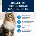 thumbnail image 6 of Blue Buffalo Natural Veterinary Diet HF Hydrolyzed Food Intolerance Dry Cat Food, Salmon, 6 of 10