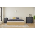thumbnail image 1 of Nexera 3-Piece Bedroom Set With Bed Frame, Nightstand And Dresser In Queen|Natural Maple & Charcoal Grey, 1 of 8