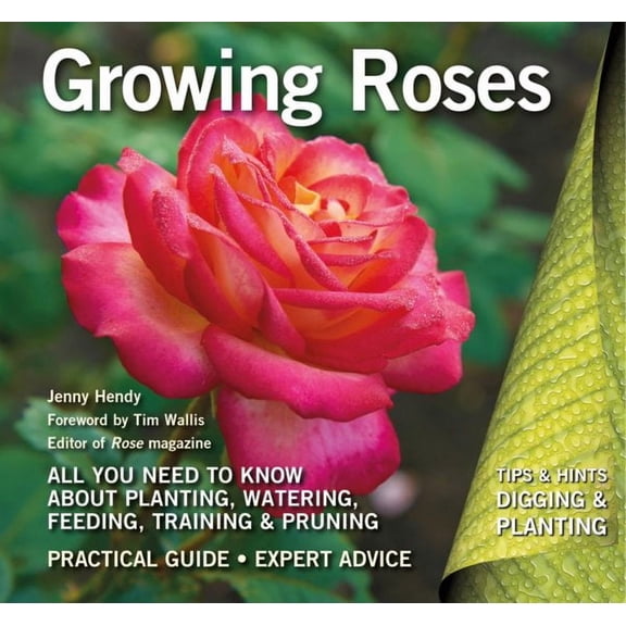Digging and Planting: Growing Roses : Plan, Plant and Maintain (Paperback)
