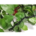 thumbnail image 2 of Correa de nailon multifuncional para red de soporte elástica de compresión para plantas de carpa, 2 of 6