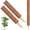 thumbnail image 1 of Porta plantas Monstera para plantas trepadoras de interior con tallos de musgo, 2 piezas, 1 of 5