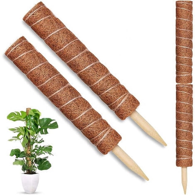 Porta plantas Monstera para plantas trepadoras de interior con tallos de musgo, 2 piezas
