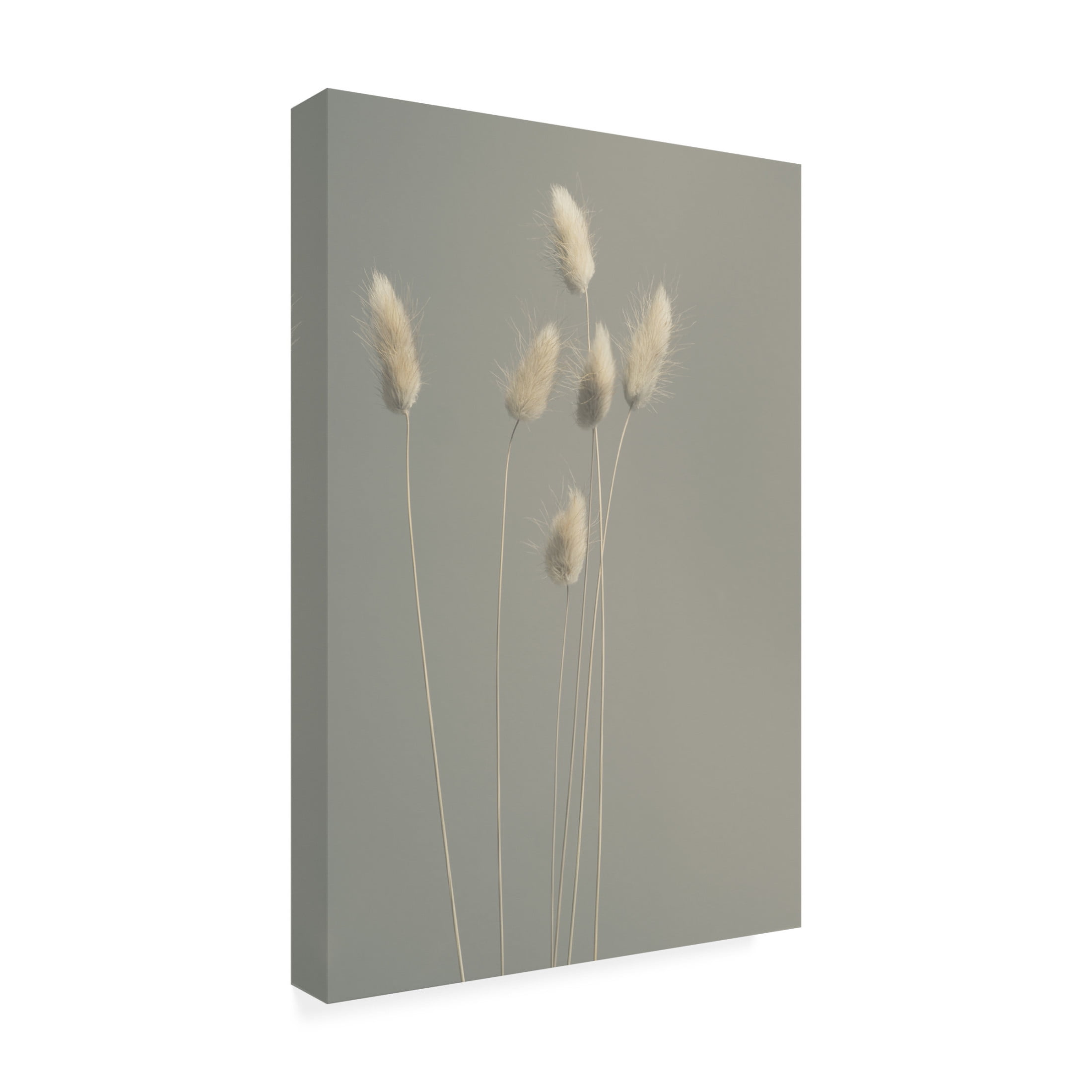Canvas Wall Art - Heidi Westum 'In All Simplicity' Wall Art for Living Room, Bedroom, or Office Décor by Trademark Fine Art - 16 x 24 Inches