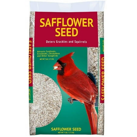 7 lbs safflower seed walmart com 7 lbs safflower seed walmart com
