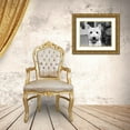 thumbnail image 3 of Levin, Kim 24x20 Gold Ornate Wood Framed with Double Matting Museum Art Print Titled - Rosie, 3 of 4