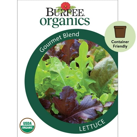 Burpee Organics Gourmet Blend Lettuce Seeds - Non-GMO, Container-Friendly, Organic Vegetable Gardening Seeds, 300mg, 1-Pack