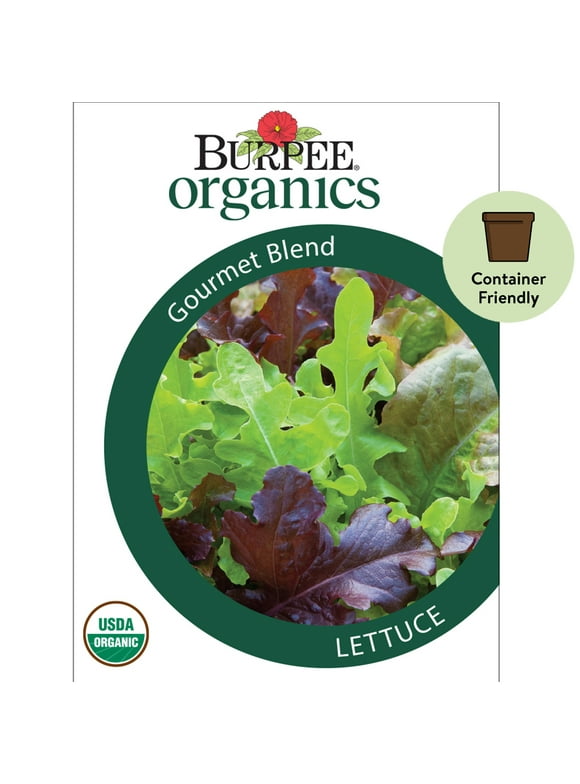 Lettuce Seeds in Seed Gardening