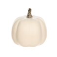 thumbnail image 2 of Harvest PL Short Mini Foam Pumpkin-Cream, 2 of 4