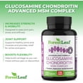 thumbnail image 5 of Forest Leaf Glucosamine Chondroitin & MSM Complex Joint Support Supplement, 120 Capsules, 5 of 9