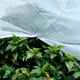 thumbnail image 4 of Cobertores para árboles y arbustos, mantas anticongelantes, protección contra heladas para plantas, 4 of 5