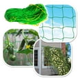 thumbnail image 3 of SUNRISEUMBRELLA 6'x3'Trellis Netting Support Net for Plants Climbing Plants Grow Mesh Net, 3 of 4