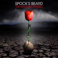 thumbnail image 1 of Spock'S Beard - THE ARCHAEOPTIMIST - [Vinyl], 1 of 1
