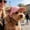 Pink, variant on Dog Hat Corduroy Pet Cap Adjustable Baseball Sun Protection Hat for Small Dogs Cats Breathable Puppy Outdoor Walking Photo Prop Pet Accessory Summer Beach Costume Decoration