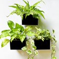 thumbnail image 1 of Macetero de pared 3 unidades 6 pulgadas para suculentas color negro rectangular para colgar flores de metal cajas de ventana larga soportes para plant, 1 of 8