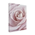 thumbnail image 3 of Trademark Fine Art Cora Niele Pink Rose Canvas Wall Art - 35x47, 3 of 5