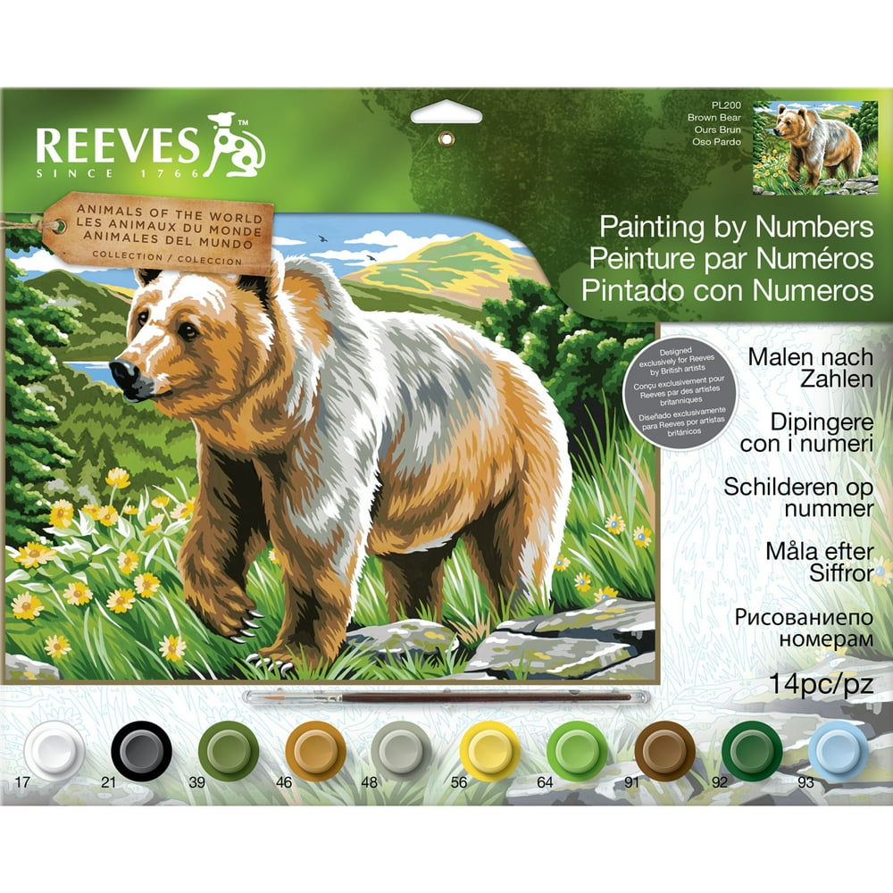 Paint By Number Kit 12"X16"Large Brown Bear