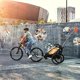 thumbnail image 4 of Remolque para Bicicletas Thule Chariot Lite1 Agave, 4 of 10