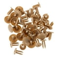 thumbnail image 1 of VERDANVERSE 30Ud Clips Para Panel De Puerta Beige Universal Para Fijación Rápida, 1 of 6