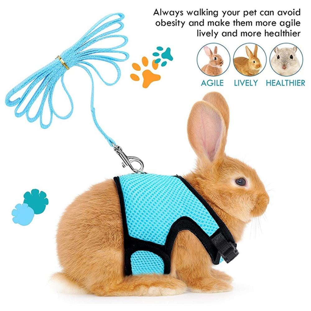 Bunny leash walmart discount