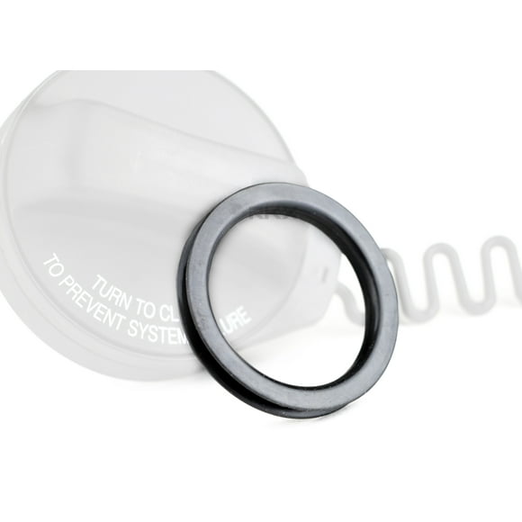 Gas Cap Seal