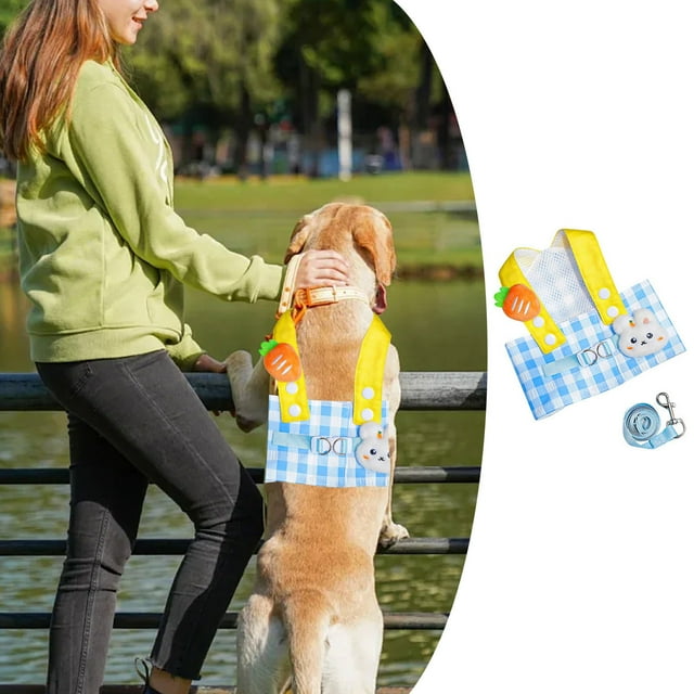 Cute Rabbit Theme Adjustable Dog Harness And Leash For Small Dogs And Cats Comfortable Cat Steps Cat Steps for Older Cats Cat Leg Brace Sweater Small Dogs Female Belly Bands for Male Dogs with Snaps