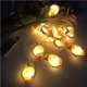 thumbnail image 2 of Monstrate El plástico ilumina las noches con las luces de la secuencia de la concha de los acontecimientos al aire libre decorativas Iluminación y accesorios, 2 of 6