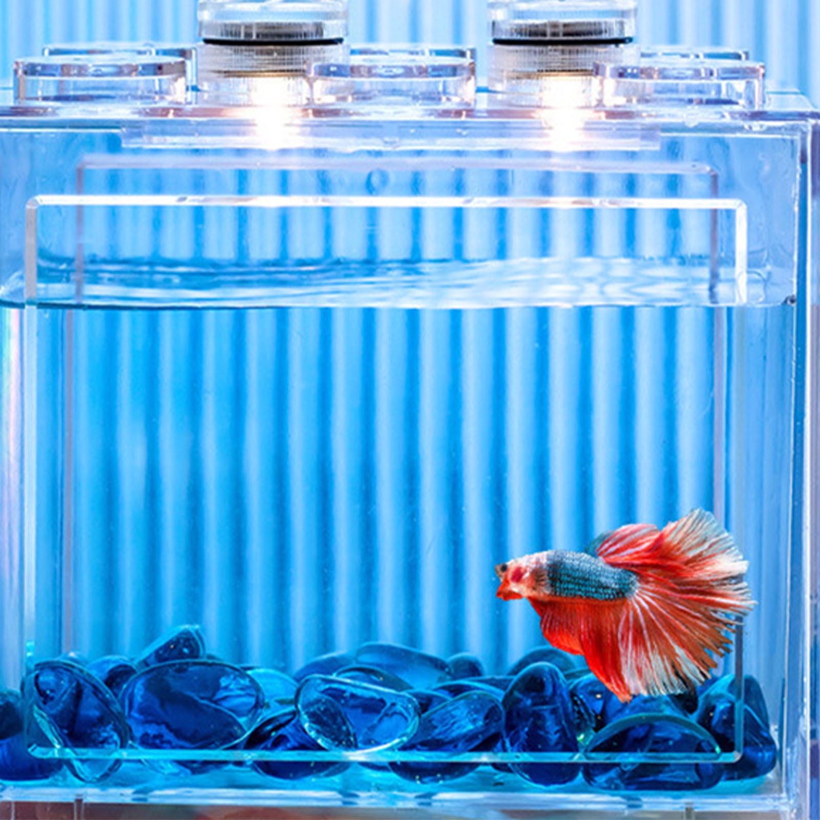 Small Betta Fish Aquarium Portable Transparent Easy To Change Water For Shrimp For Highly Transparent Walmart