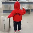 thumbnail image 4 of Wunder Spiderman Jacke Kinder Kapuze Sudadera Jacke Baby Junge Frühling und Herbst Cardigan Top Warme Jacke Geburtstags geschenk, 4 of 5