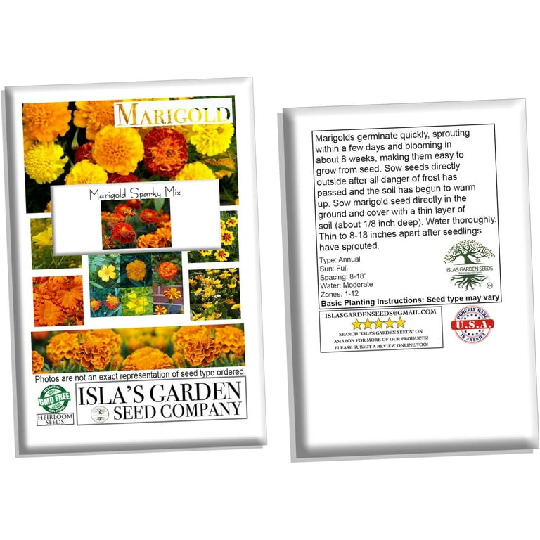 Sparky Mix" Marigold Seeds for Planting, 500+ Flower Seeds Per Packet Non  GMO & Heirloom Seeds, Botanical Name Tagetes patula, Great Home Garden Gift  - Walmart.com