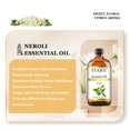 thumbnail image 5 of Aceite esencial de planta EUQEE de 118 ml para difusor, humidificador, orégano, neroli, menta verde, cedro, aceites esenciales aromáticos, fabricación de velas, 5 of 5