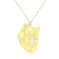 thumbnail image 3 of Anatomical Heart Stainless Steel Necklace Pendant - Biology Gift Valentine's Day, 3 of 4