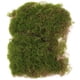 thumbnail image 3 of Césped de musgo simulado, musgo artificial, liquen, estera de musgo falso, musgo verde simulado, 3 of 7