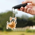 thumbnail image 4 of Daily Mix Store Dog Hair Storage Bottle Keychain - Puppy Model Memorial Bottle for Pet Hair, Dogs & Cats Fur Keepsake Keyring, Pet Memory Capsule Ornament, 4 of 9