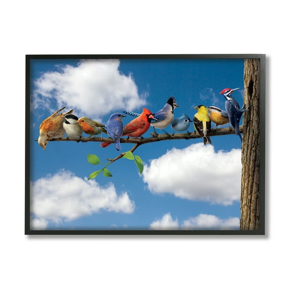 Stupell Industries Various Birds on Branch Animals & Insects Painting Black Framed Art Print Wall Art, 14 x 11
