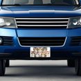thumbnail image 4 of Sweet American Wirehair Cats Metal Novelty License Plate, 4 of 7