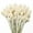 White, variant on Trianu 30Pcs Dried Globe Amaranth Flower with Wheat Straw Bouquet for Vase Home Decor Party DIY Arrangement (White, 15.7inch/40cm)