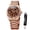 Rose Brown, variant on Mechanical Watches for Men Automatic Self Winding Classic Dress Multi Calendar Stainless Steel Big Face Two Tone Watches Easy Read Luminous Mens Wrist Watches